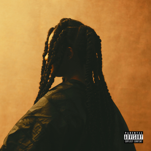 日本变态鸡巴插乳头视频
