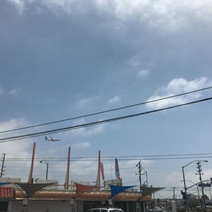 日本变态鸡巴插乳头视频
